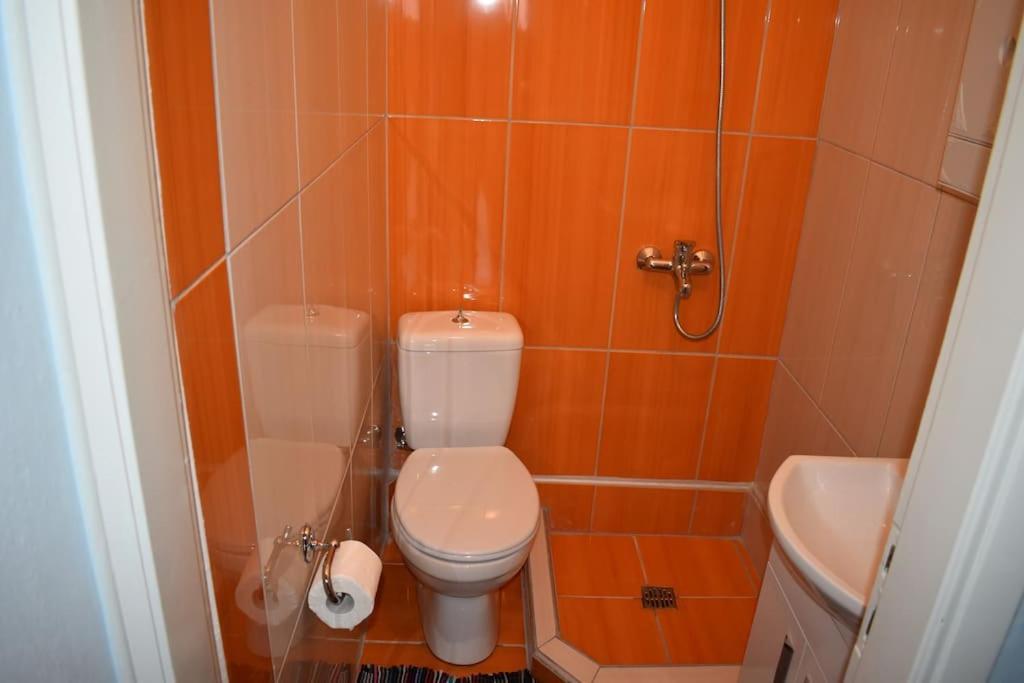Rose'S House Apartman Tríkala Kültér fotó