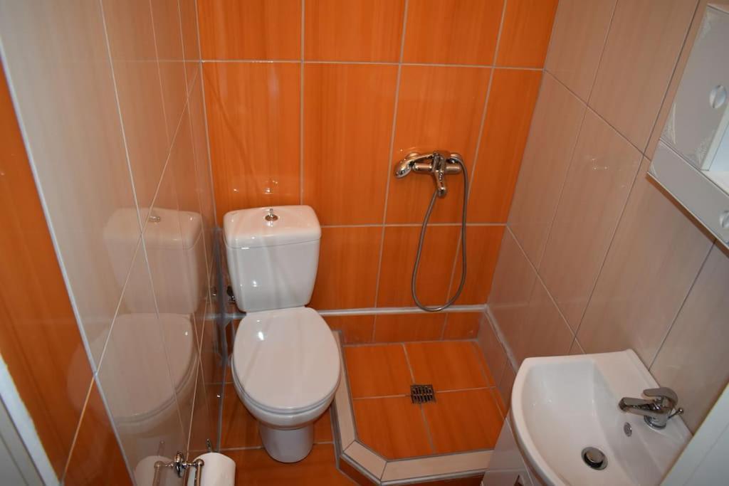 Rose'S House Apartman Tríkala Kültér fotó